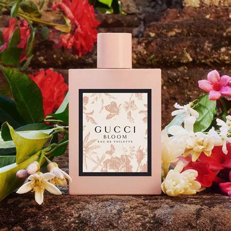 gucci bloom fragrantica.ru|where to buy Gucci Bloom.